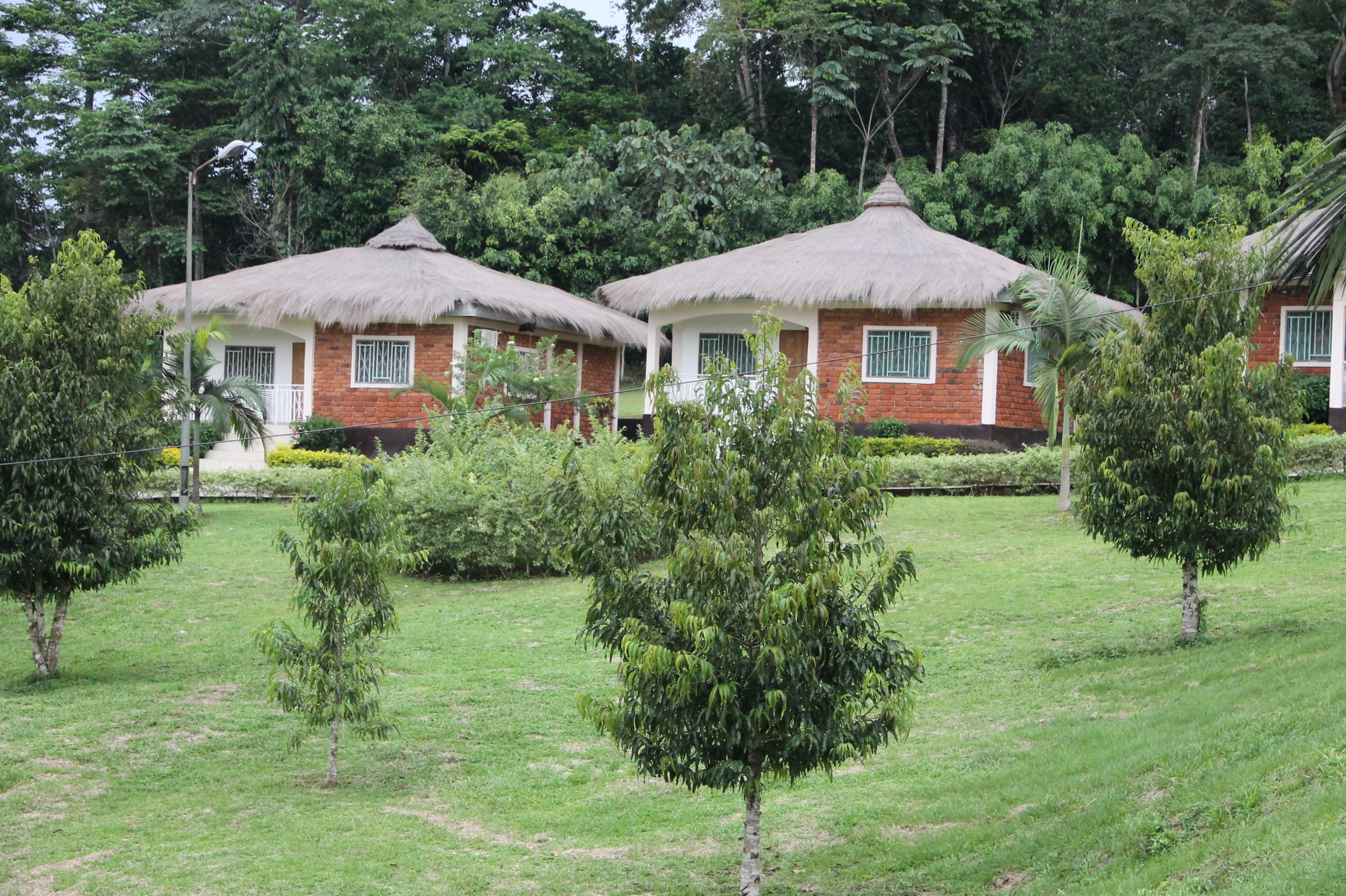 Dépaysement, découvertes et relaxation au site écotouristique de Nkolandom