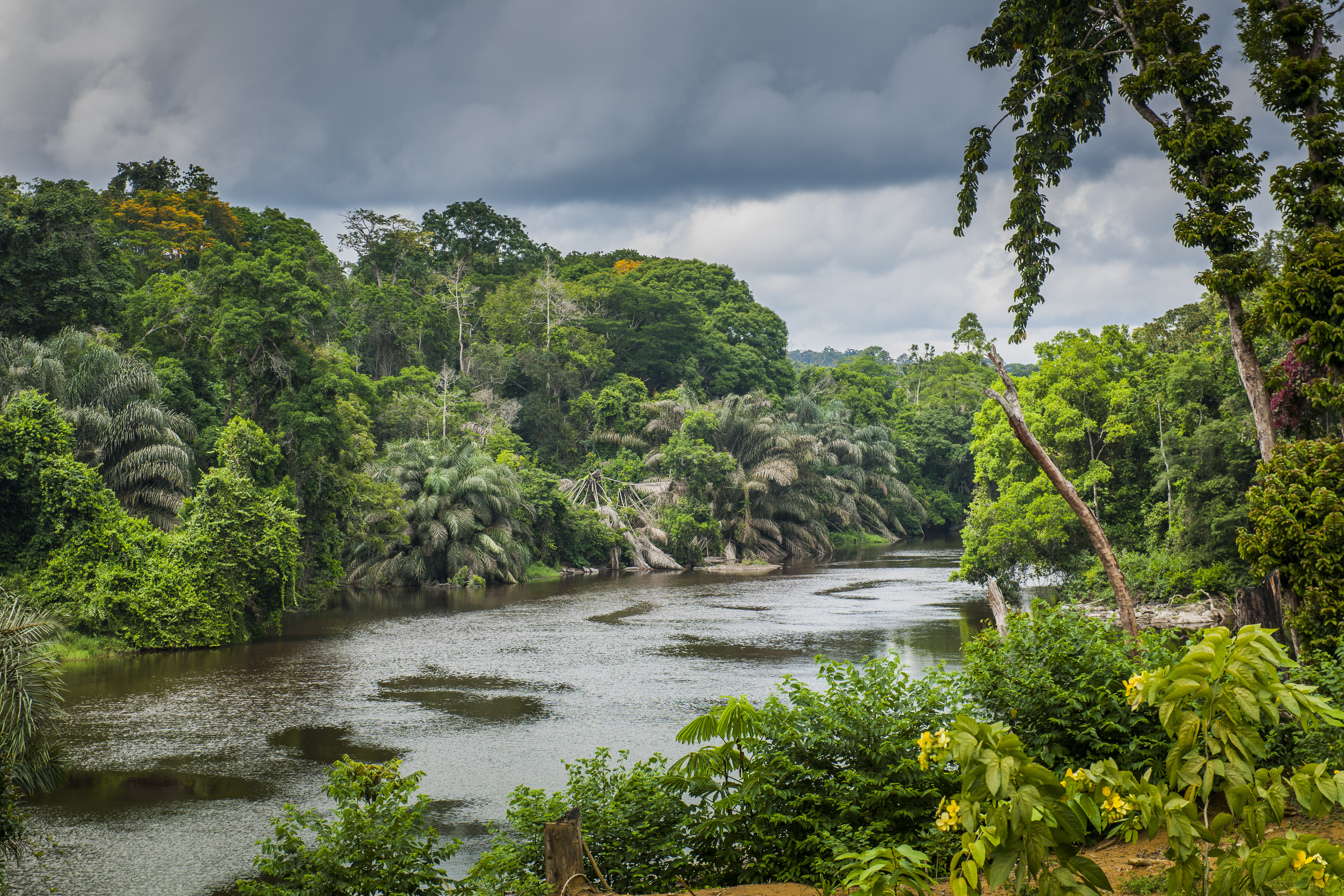 Découvrez les paysages du Cameroun